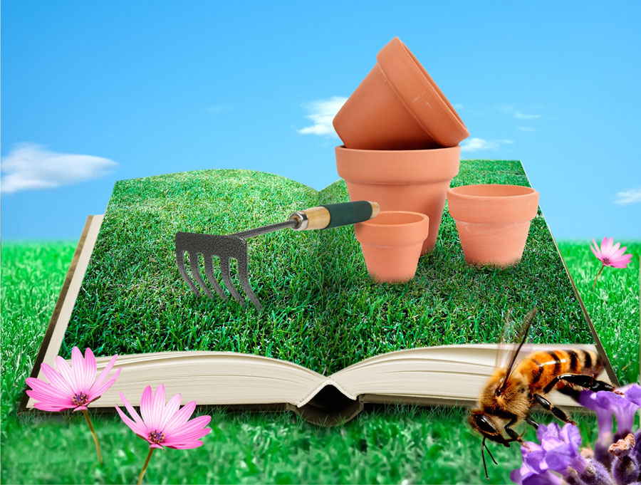 Rinvasi e zollature: guida completa per piante sempre sane